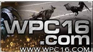 Everything You Need to Know About WPC16